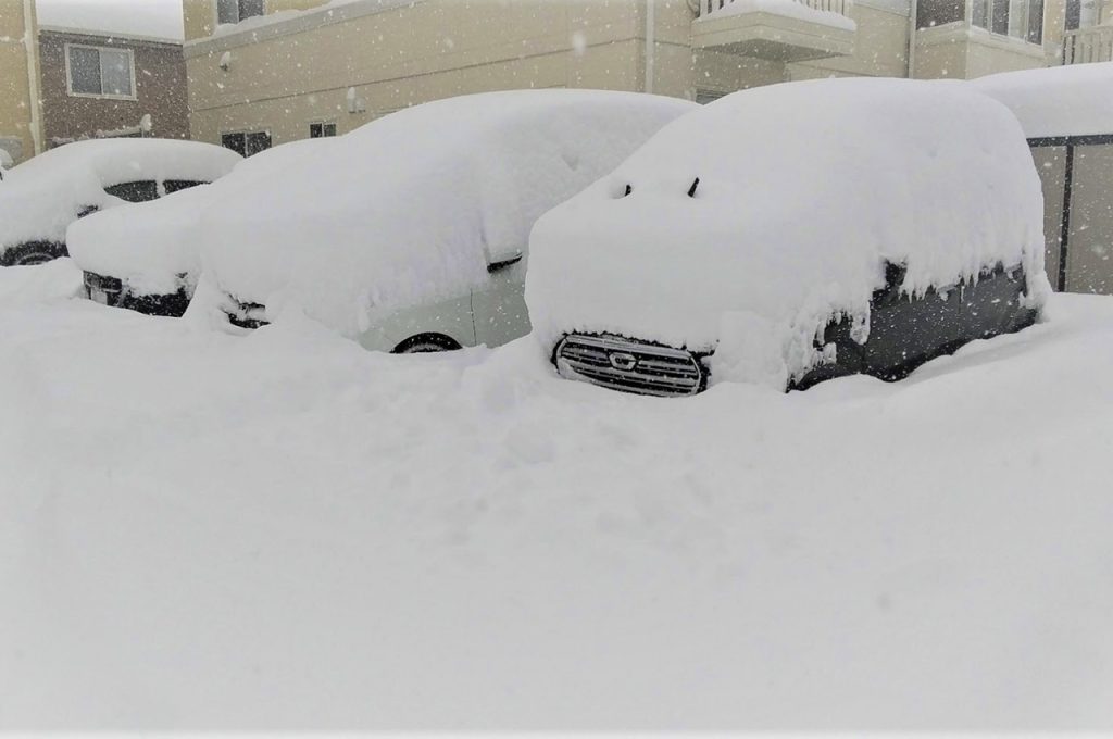 タイムラインで水害・雪害に備える