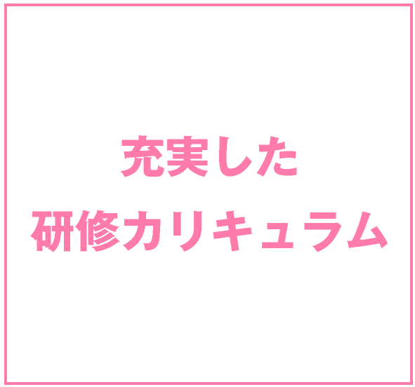 充実した研修カリキュラム